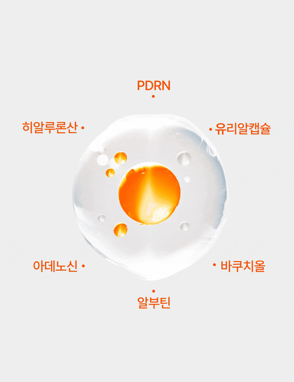 상품 설명 이미지 49